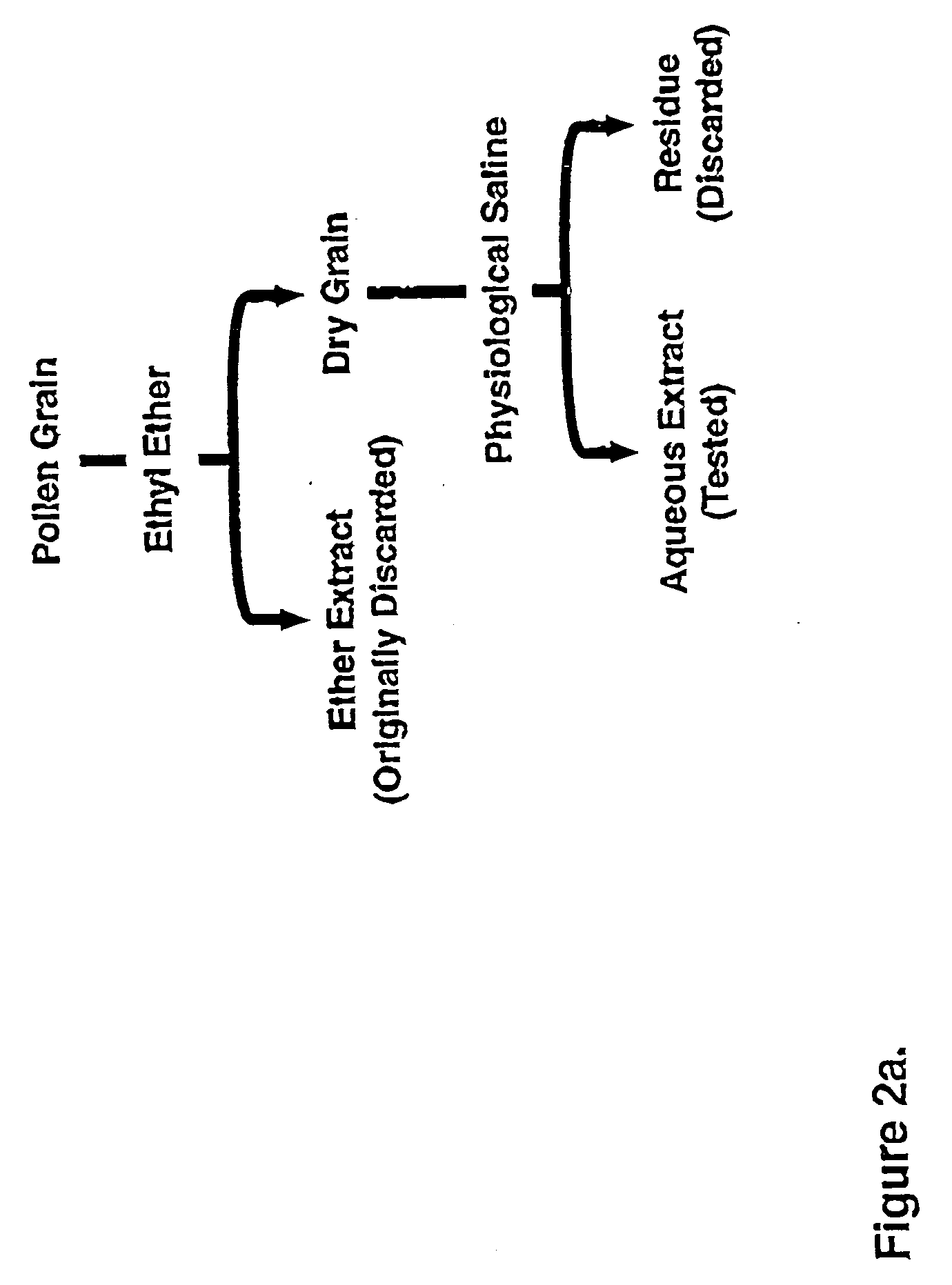 Walnut and ryegrass allergens