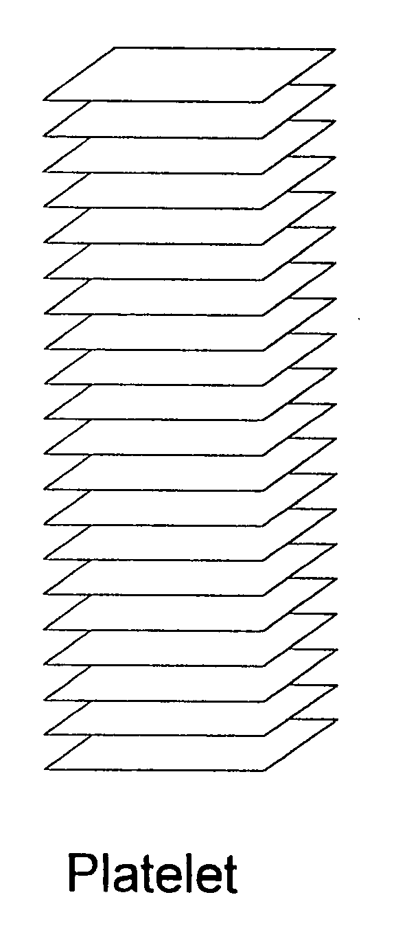 Conductive polymeric structures containing graphite nanofibers having graphite sheets parallel to the growth axis