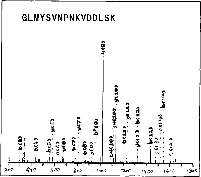 AMP-18 antigen polypeptide and application in preparing medicament for treating tumor