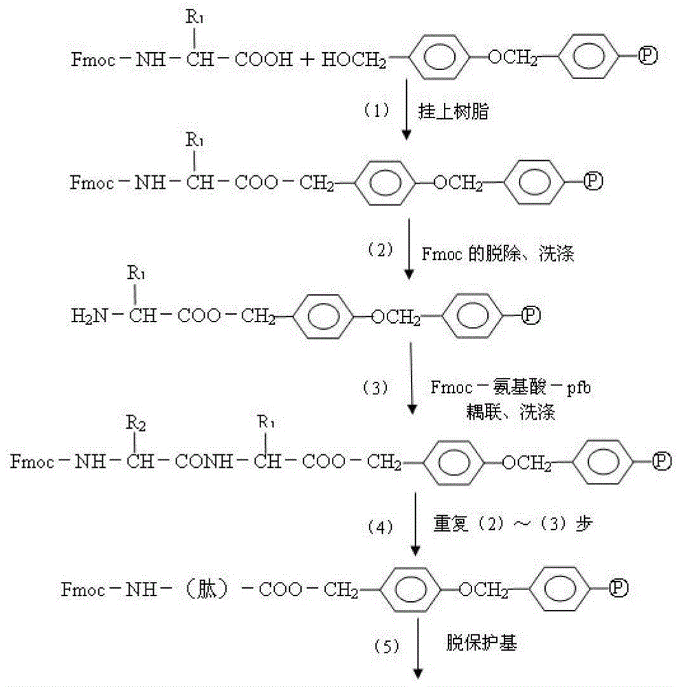 Fluorescent immunochromatographic test paper for detecting human gfap protein and preparation method thereof