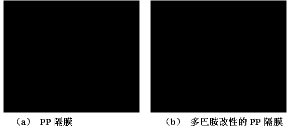 Poly-dopamine modified lithium-ion battery diaphragm and preparation method thereof