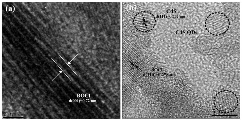 CdS quantum dot modified bismuth composite material as well as preparation method and application thereof