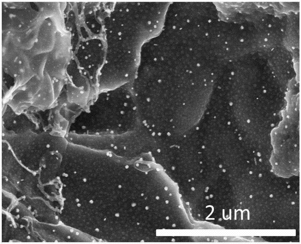 Method for preparation of nitrogen doped porous nano carbon material with biomass as carbon source by gel process