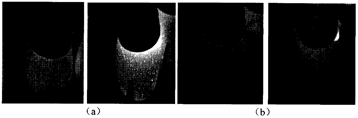 Attention mechanism CNN-based 5-day and 9-day incubated egg embryo image classification method