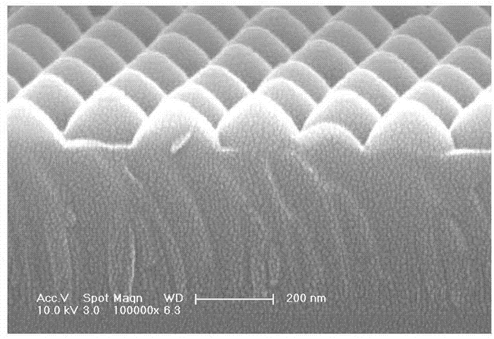 Molecular vector for single molecule detection