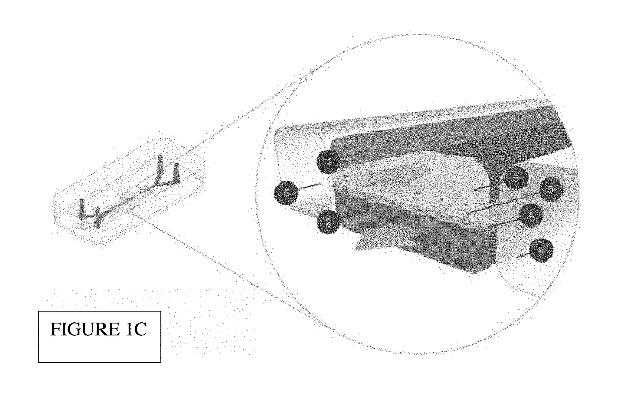 In vitro epithelial models comprising lamina propria-derived cells