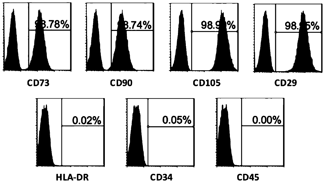 Application of asiatic acid to promotion of in vitro proliferation of human adipose mesenchymal stem cells and induction of chondrogenic differentiation of human adipose mesenchymal stem cells