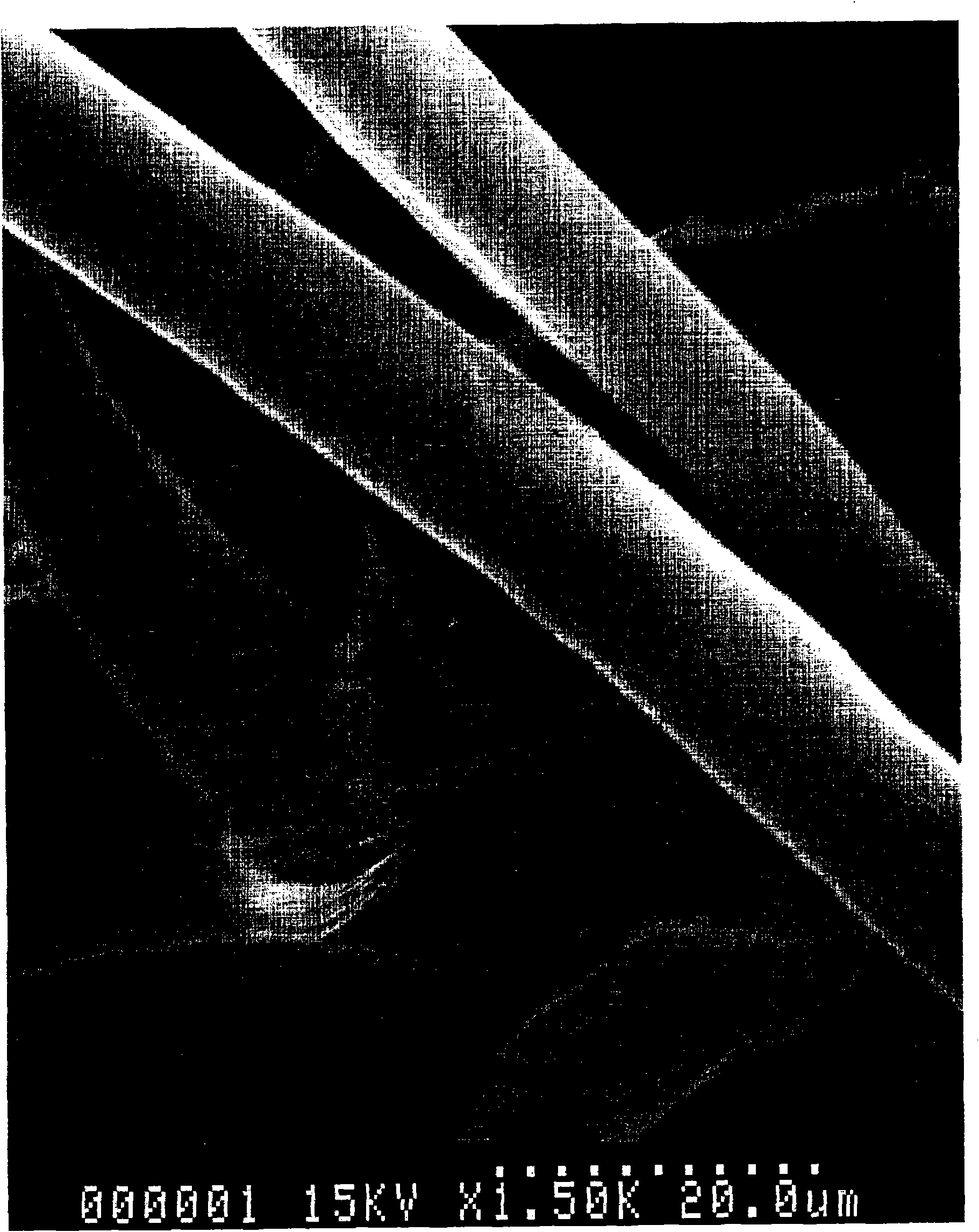 Injection molded article of fiber-reinforced polylactic acid resin