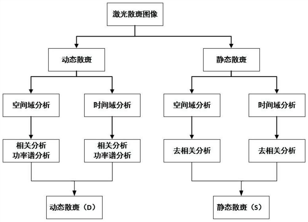 A method for monitoring plant growth process based on laser speckle technology