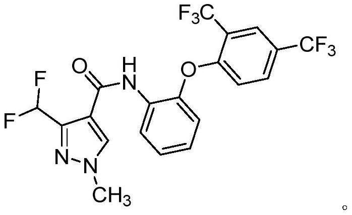 Bactericidal composition containing pyrazole amide compound and triazole bactericide