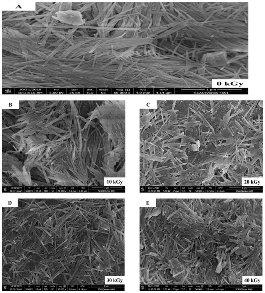 A method for improving pollination and fertilization ability of litchi flowering period