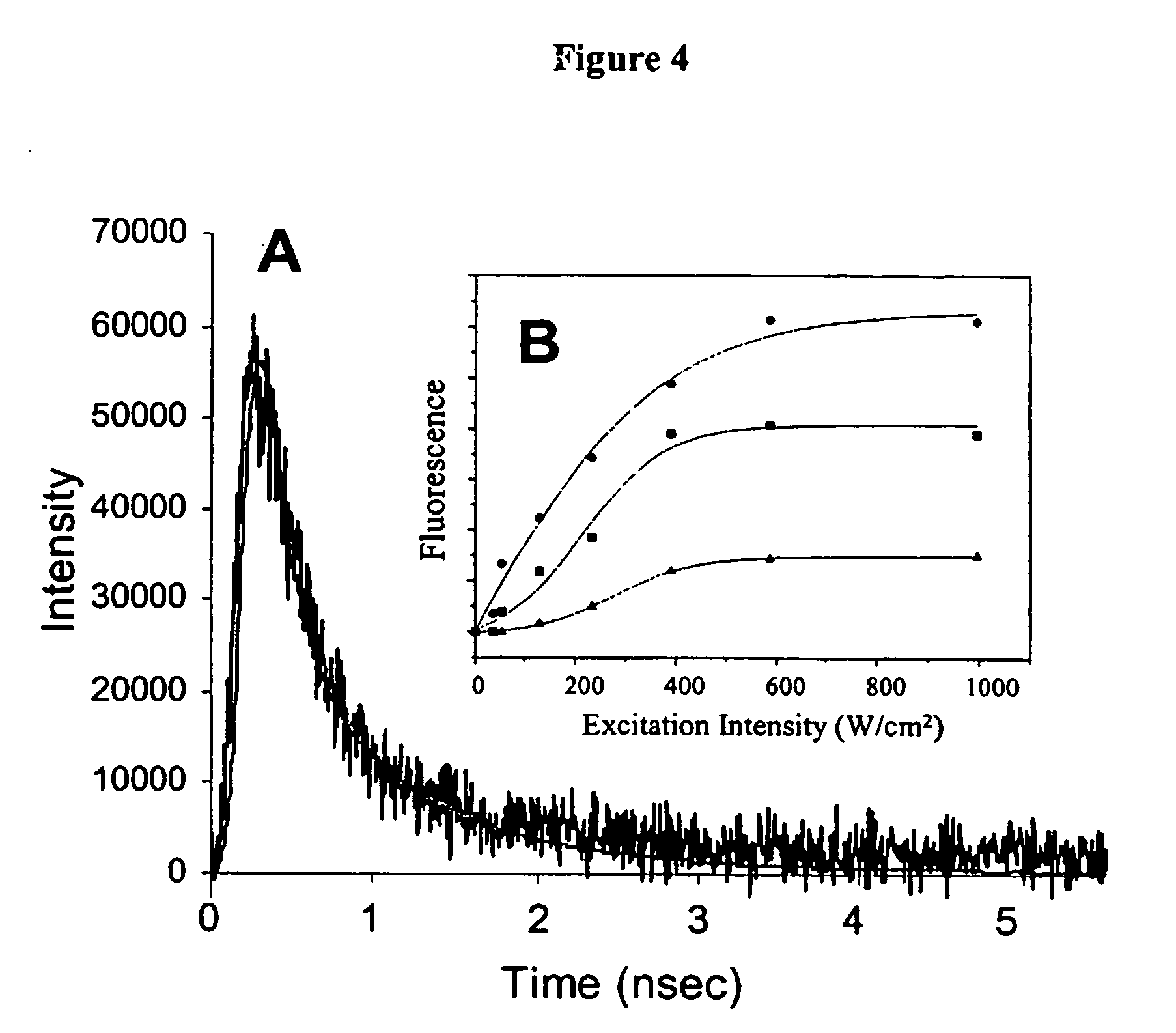 Nano-sized optical fluorescence labels and uses thereof