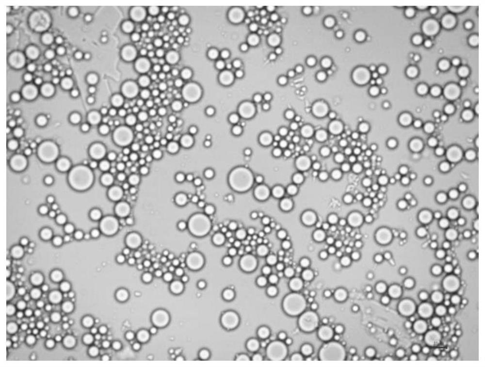 A kind of anti-mosquito sunscreen composite functional microcapsule and its preparation method