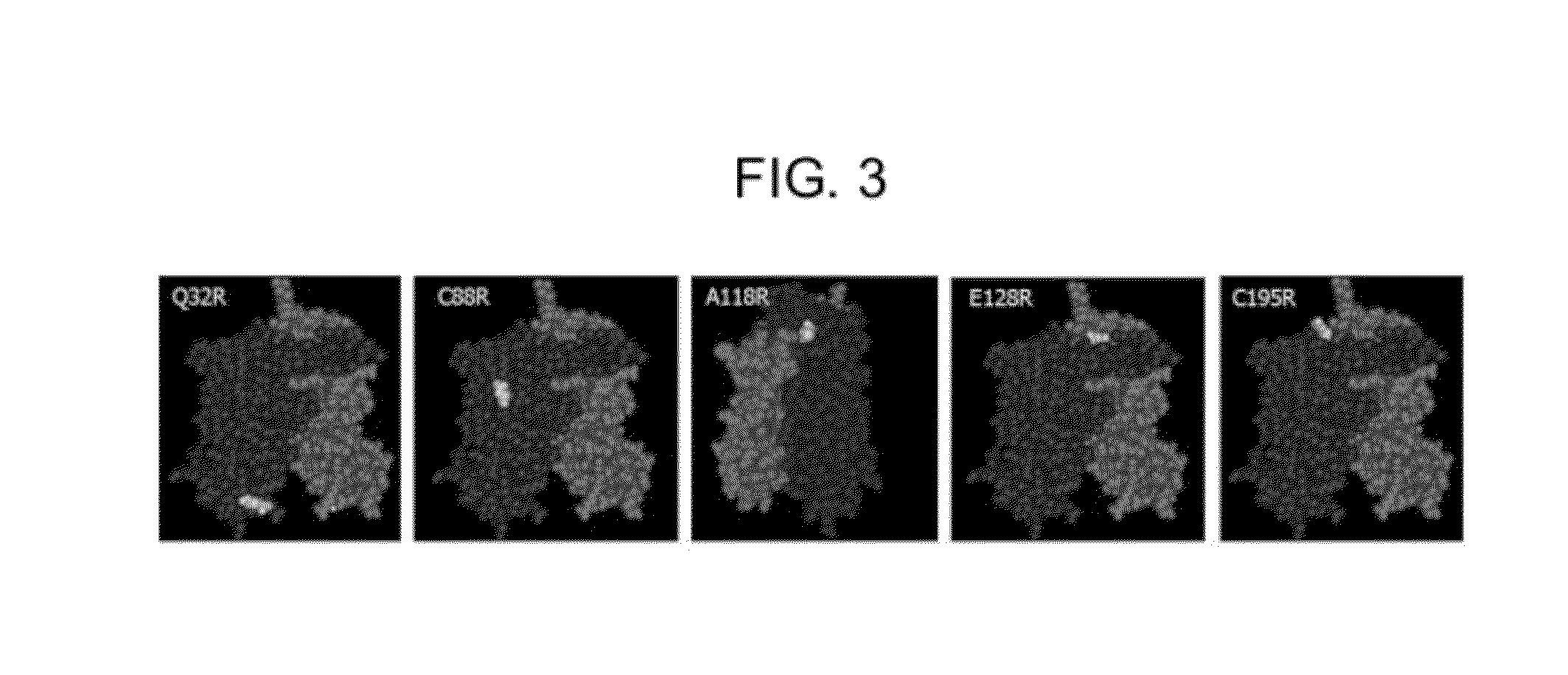 Inducible Expression System Transcription Modulators Comprising A Distributed Protein Transduction Domain And Methods For Using The Same