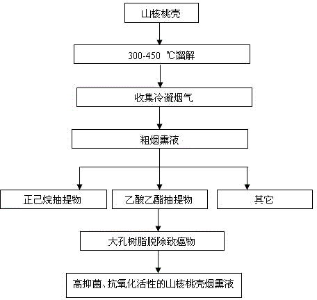 Preparation method for pecan shell smoke solution with high antibacterial and antioxidant activity