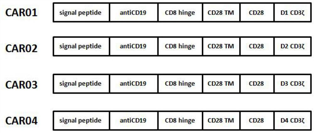 A chimeric antigen receptor (car) targeting CD19 and its application