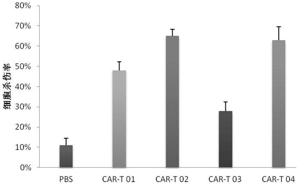 A chimeric antigen receptor (car) targeting CD19 and its application