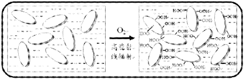 Graphene-based nano particle composite hydrogel and preparation method thereof