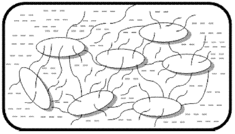 Graphene-based nano particle composite hydrogel and preparation method thereof