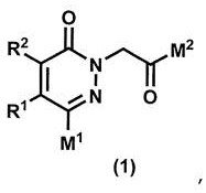 Pyridazinone derivative