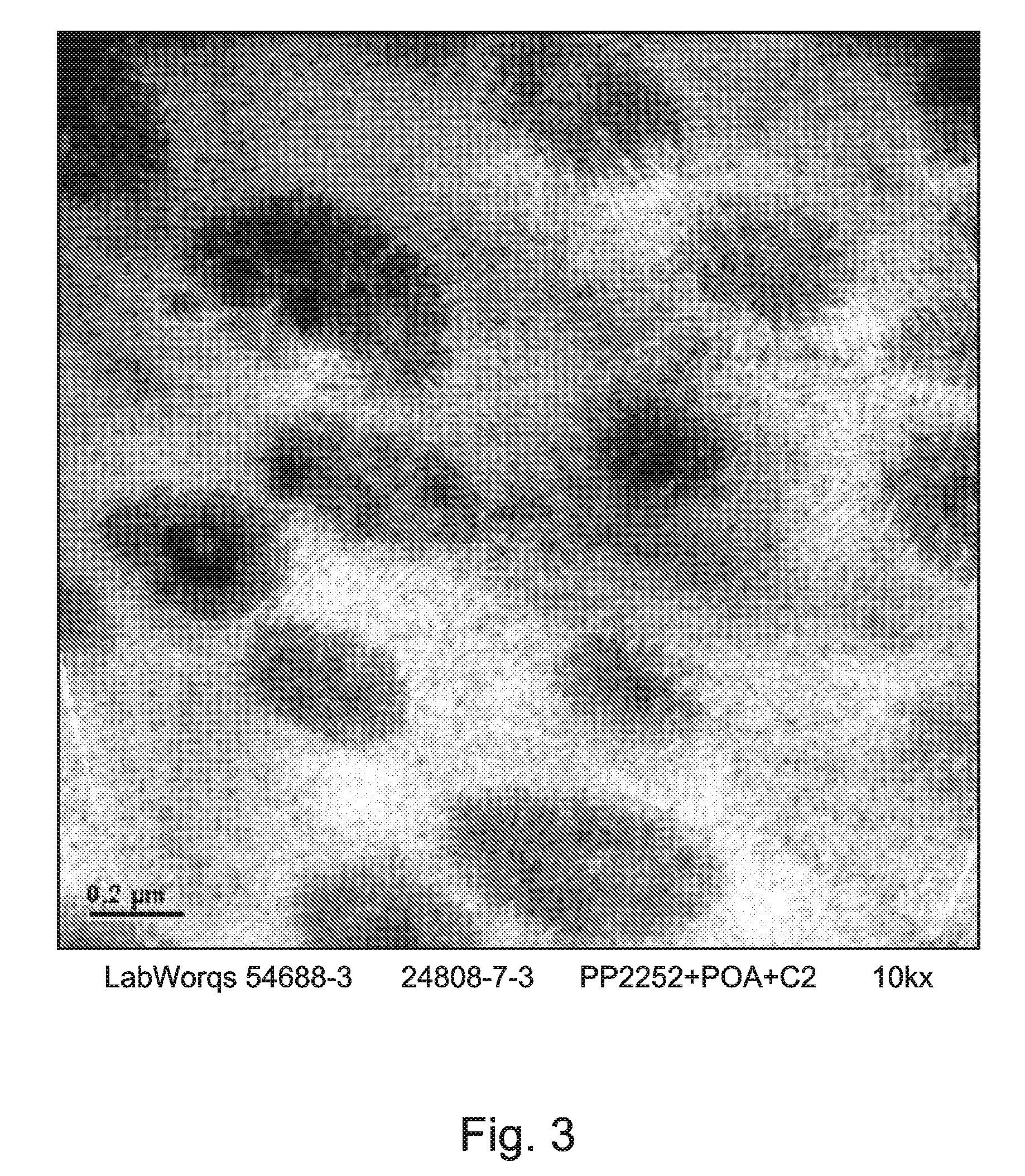 Soft Homogeneous Isotactic Polypropylene Compositions