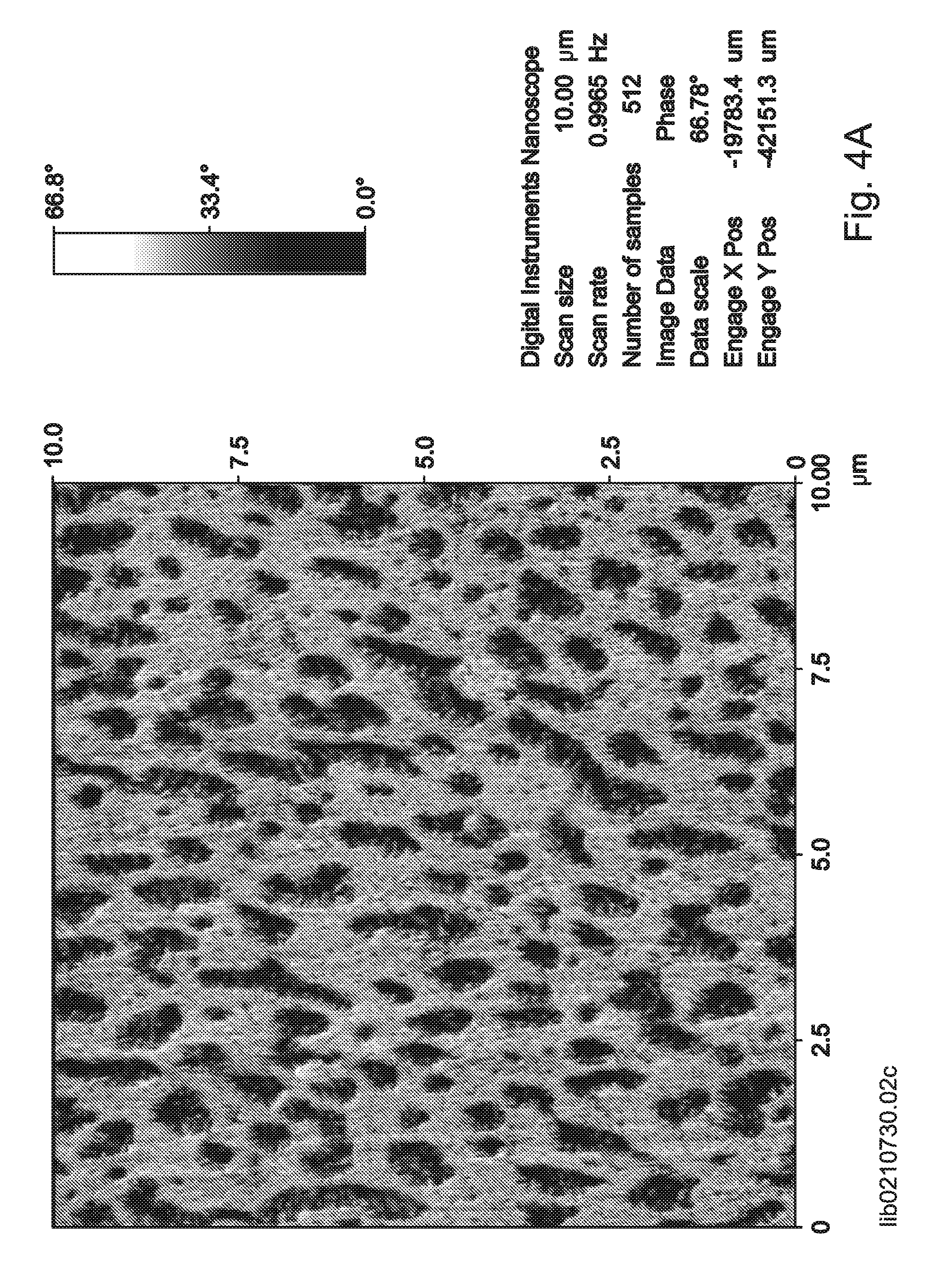 Soft Homogeneous Isotactic Polypropylene Compositions