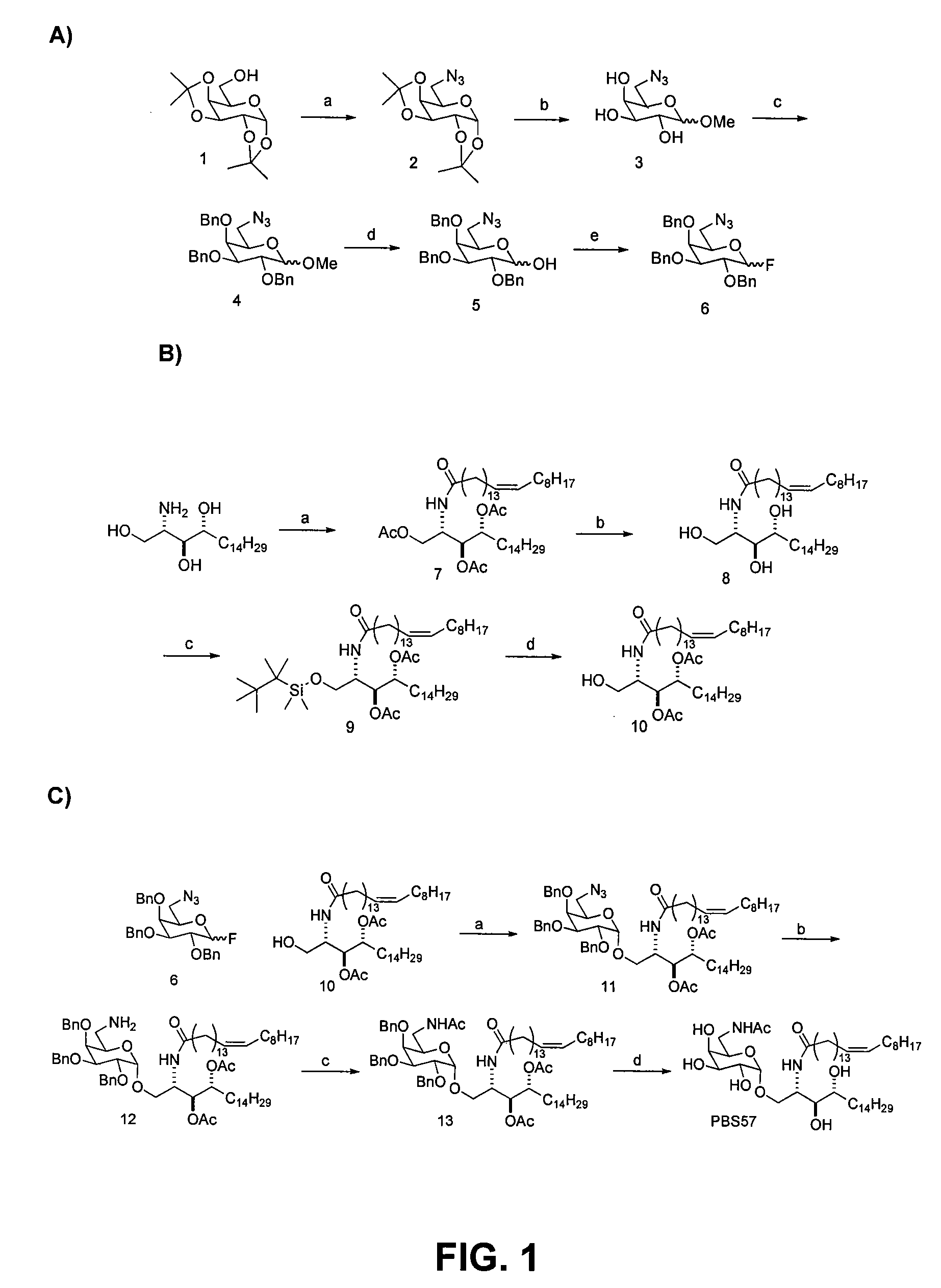 Modified alpha-galactosyl ceramides for staining and stimulating natural killer t cells