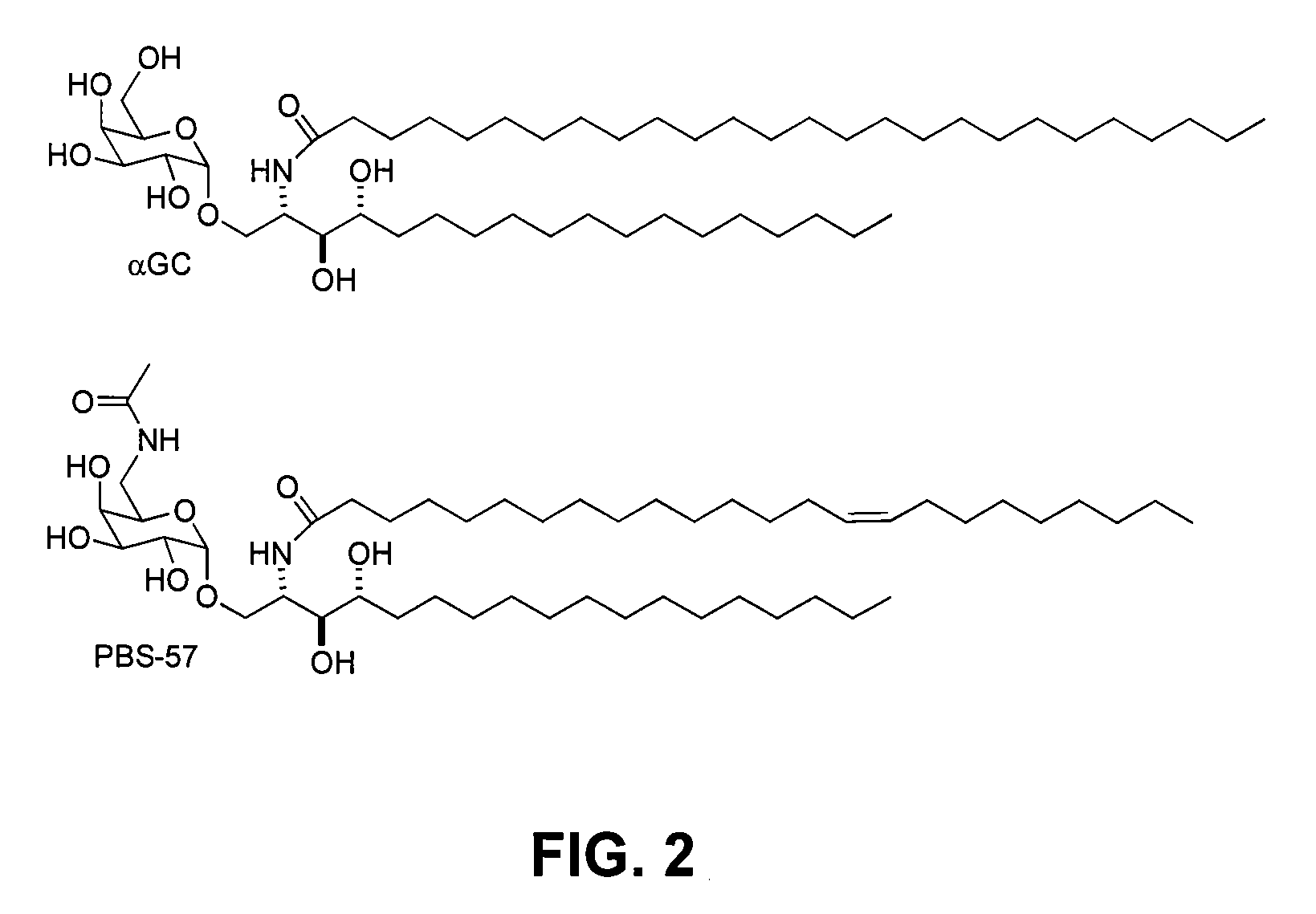 Modified alpha-galactosyl ceramides for staining and stimulating natural killer t cells