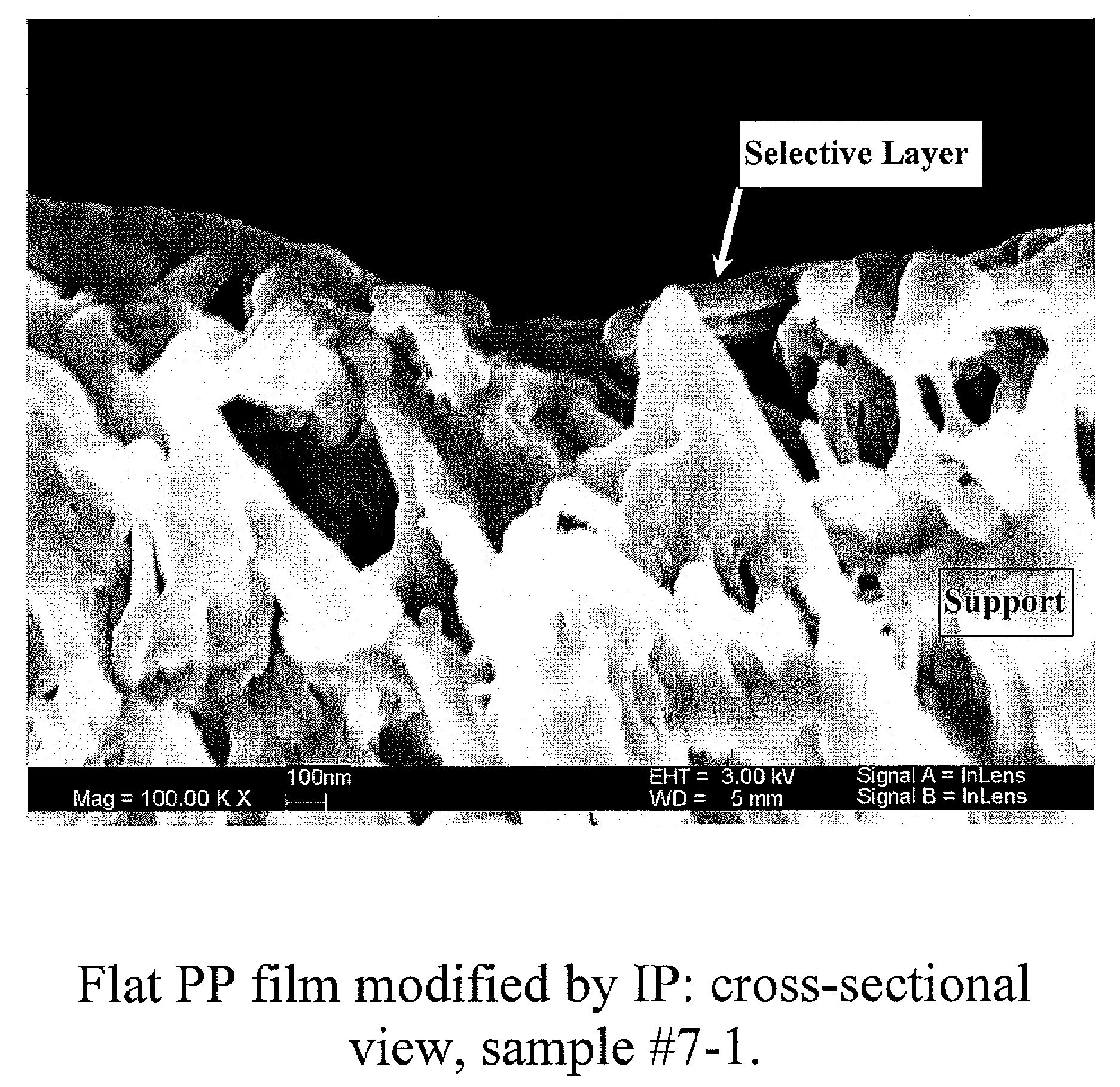 Composite Membranes and Membrane Systems and Methods For Production and Utilization Thereof