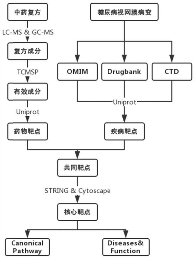 Drug action mechanism analysis method and device and electronic equipment