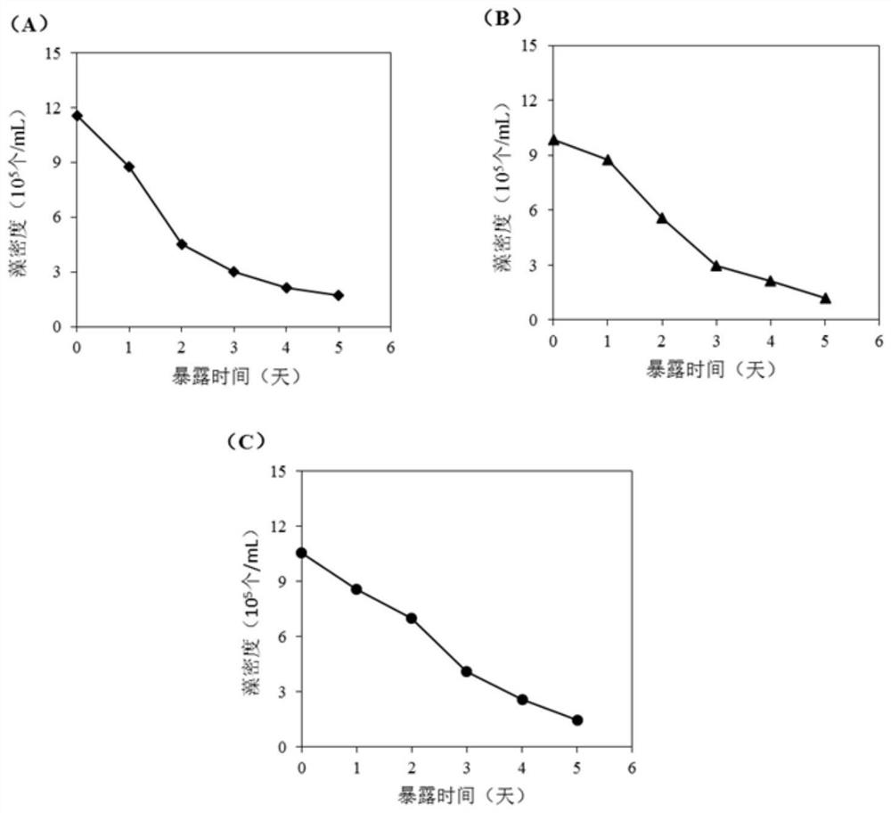 A kind of composite anti-algae agent and its preparation method and application