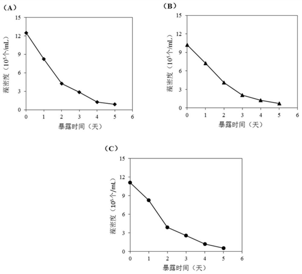 A kind of composite anti-algae agent and its preparation method and application