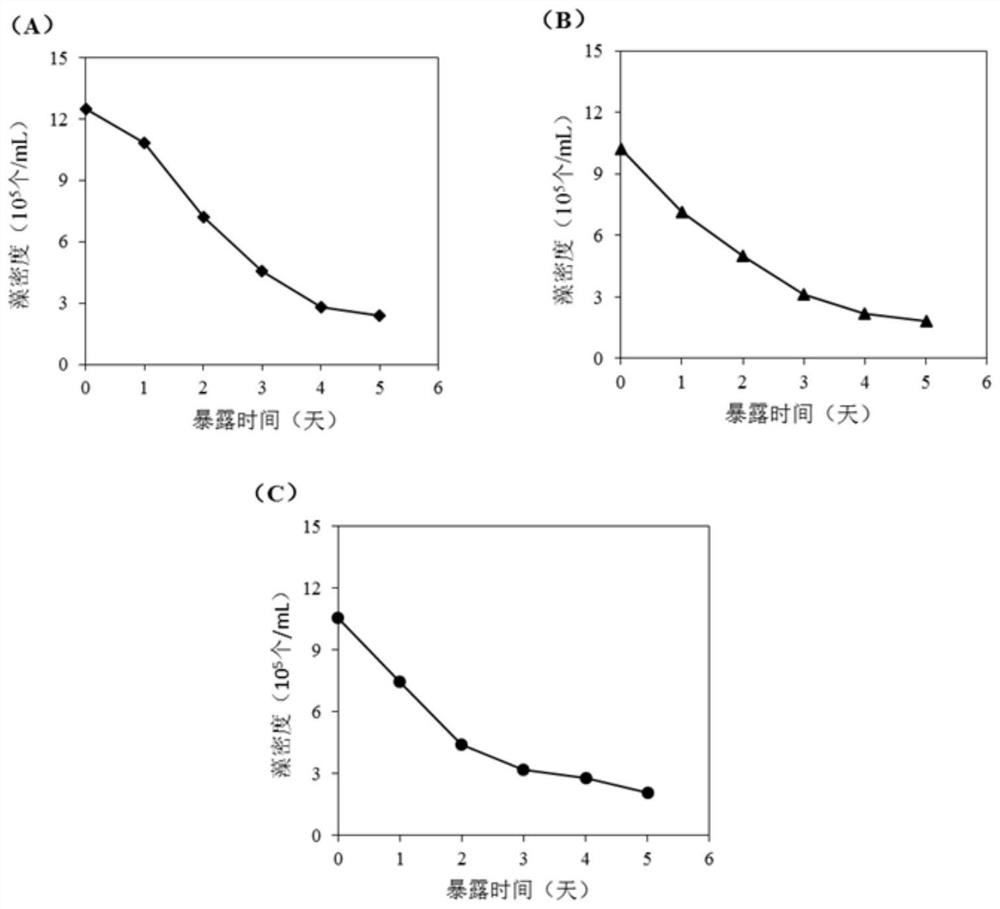 A kind of composite anti-algae agent and its preparation method and application