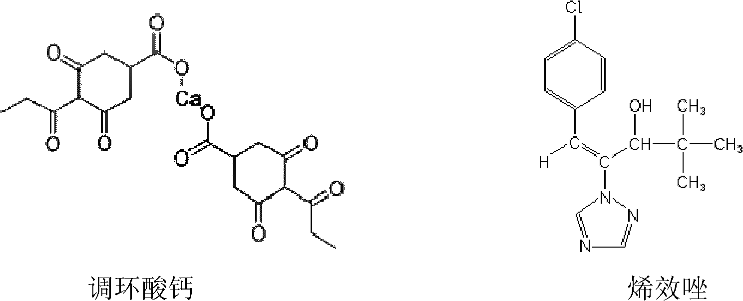 Plant growth regulator and application thereof