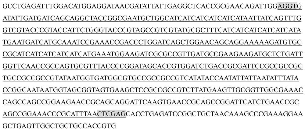 Antigen protein, monoclonal antibody or polyclonal antibody thereof and application