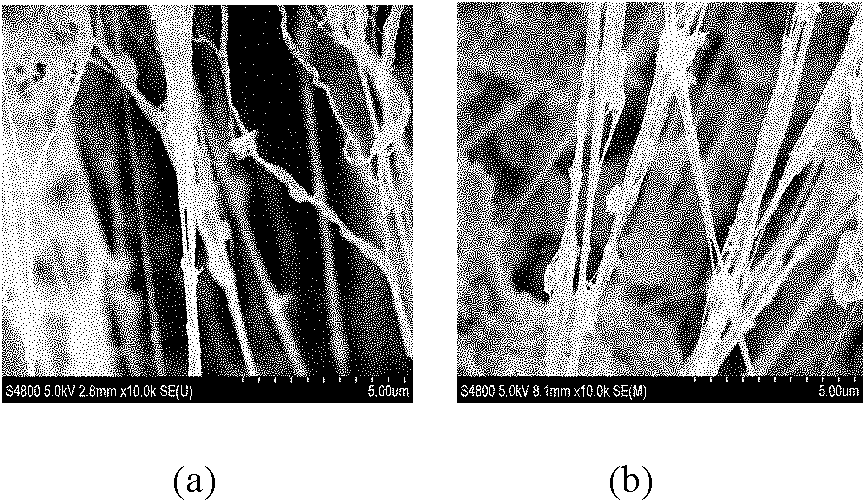 Supported metallocene catalyst and application thereof