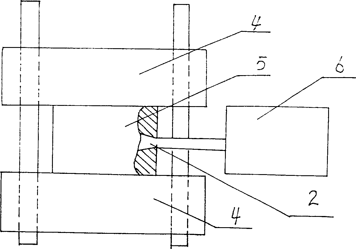 Injection moulding process and apparatus for plastic diaphragm of press filter