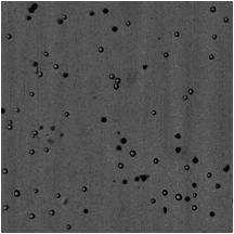 Image processing method for detecting similar round by using improved hough transformation