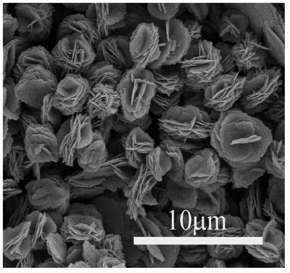 Fullerene derivative micrometer flower and preparation method thereof