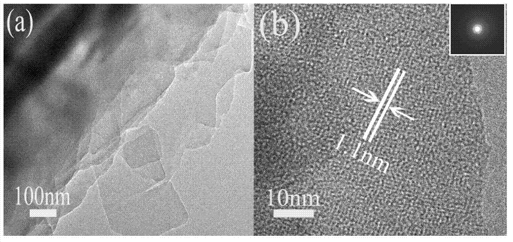 Fullerene derivative micrometer flower and preparation method thereof