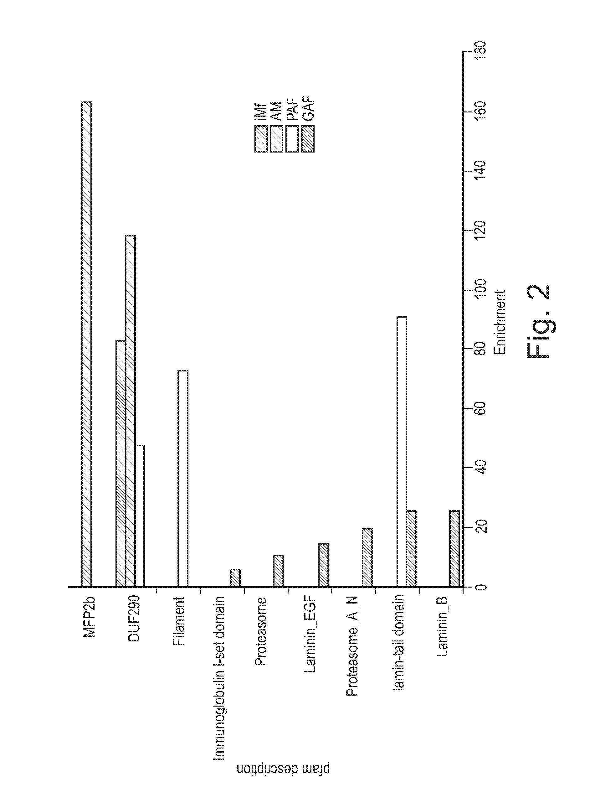 Filarial nematode vaccines, polypeptides, and nucleic acids