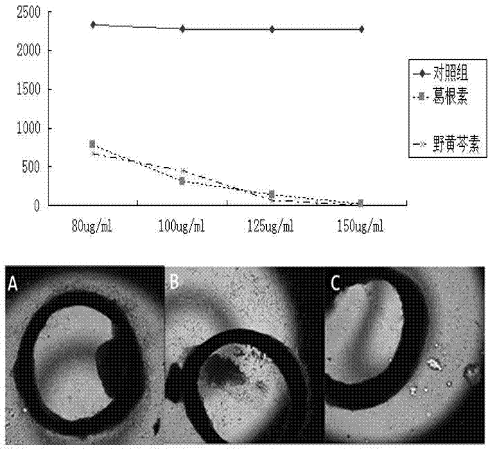 Novel application of scutellarein