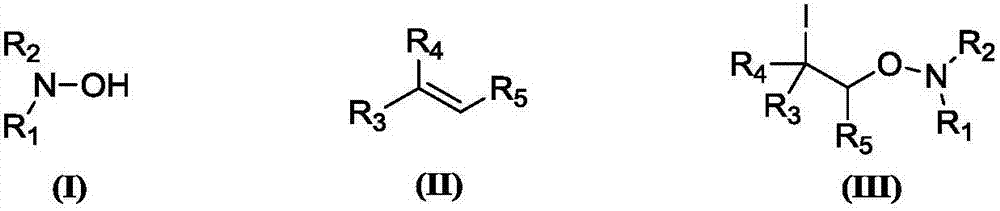 Synthesis method of beta-iodo-N-alkoxyamine compounds