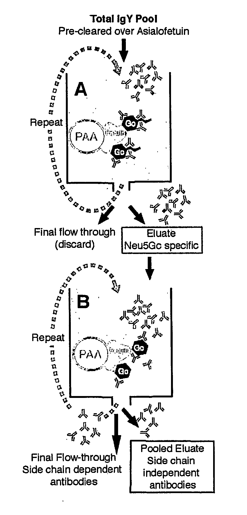 Methods for Detecting and Analyzing N-Glycolynlneuraminic Acid (Neu5Gc) in Biological Materials