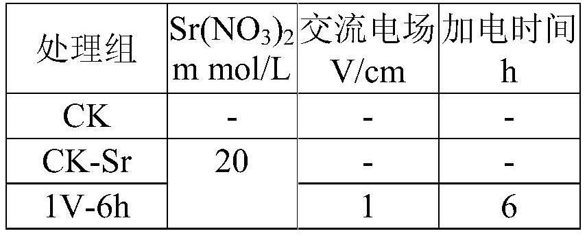 Low-voltage electric field-plant method and system for removing radionuclides/heavy metals from water