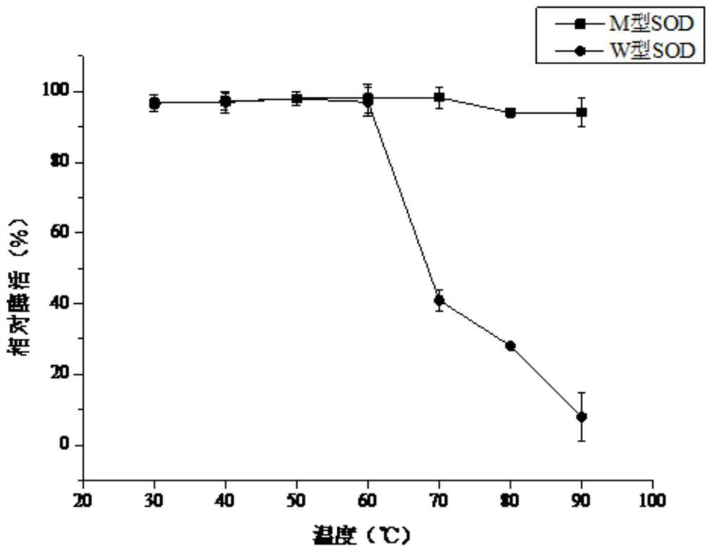 Recombinant superoxide dismutase as well as coding gene and preparation method thereof