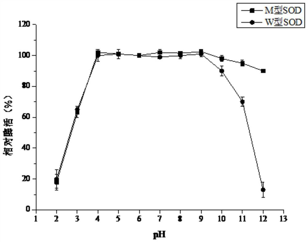 Recombinant superoxide dismutase as well as coding gene and preparation method thereof