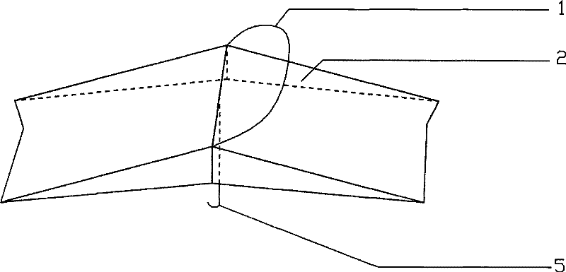 Trap for perfect insect of diamondback moth