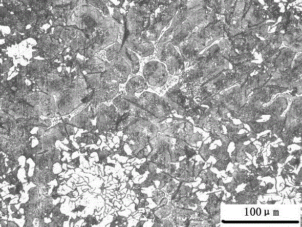 A kind of d-type graphite cast iron and production method thereof