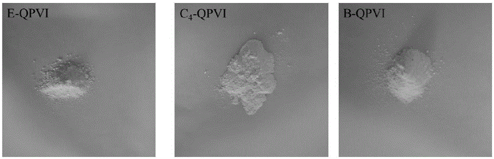 Organic nano-composite anion exchange membrane and preparation method therefor and application thereof